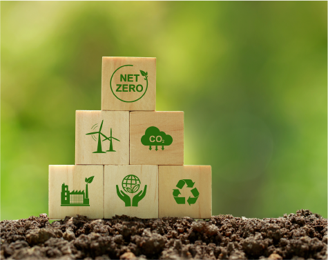 Our Dedication to Sustainability