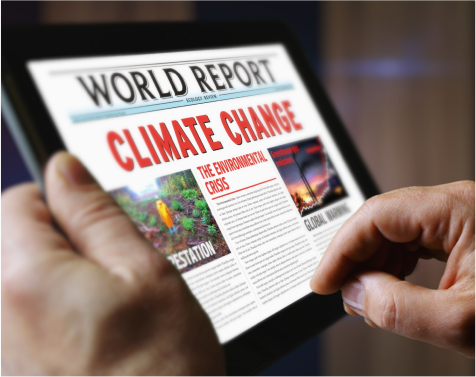 Our Dedication to Sustainability