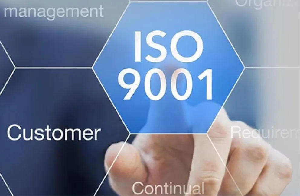 Testing & Quality Assurance